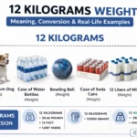 12 Kilograms Weight