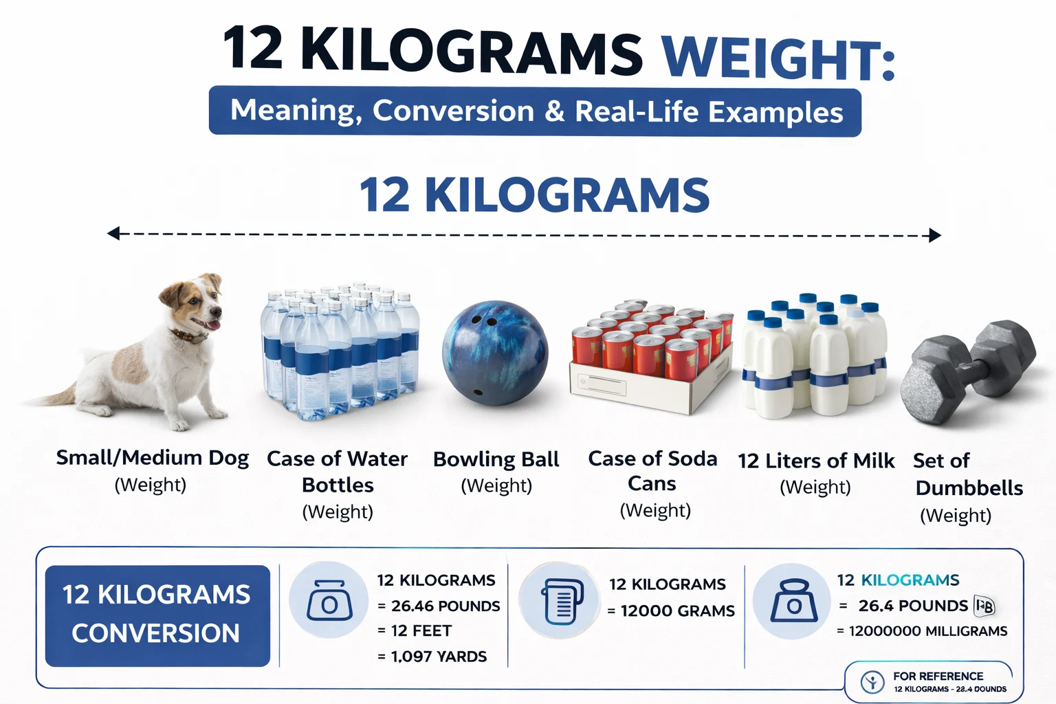 12 Kilograms Weight