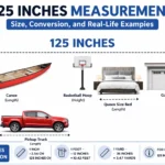 125 Inches Measurement