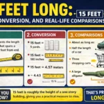 15 Feet Long