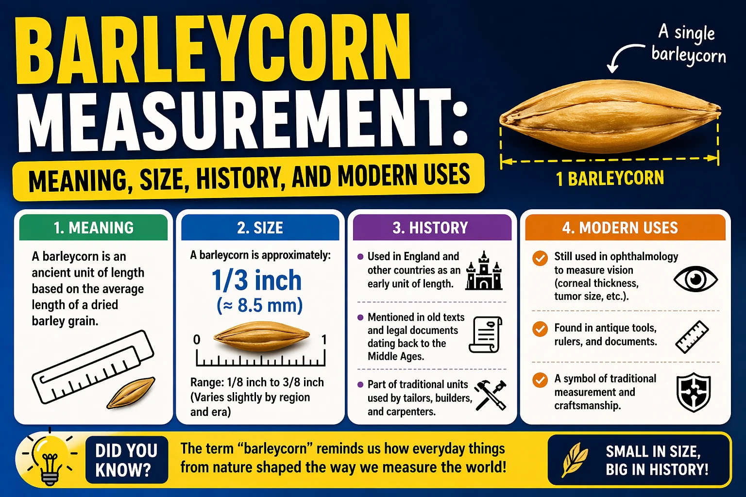 Barleycorn Measurement