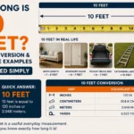 10 feet