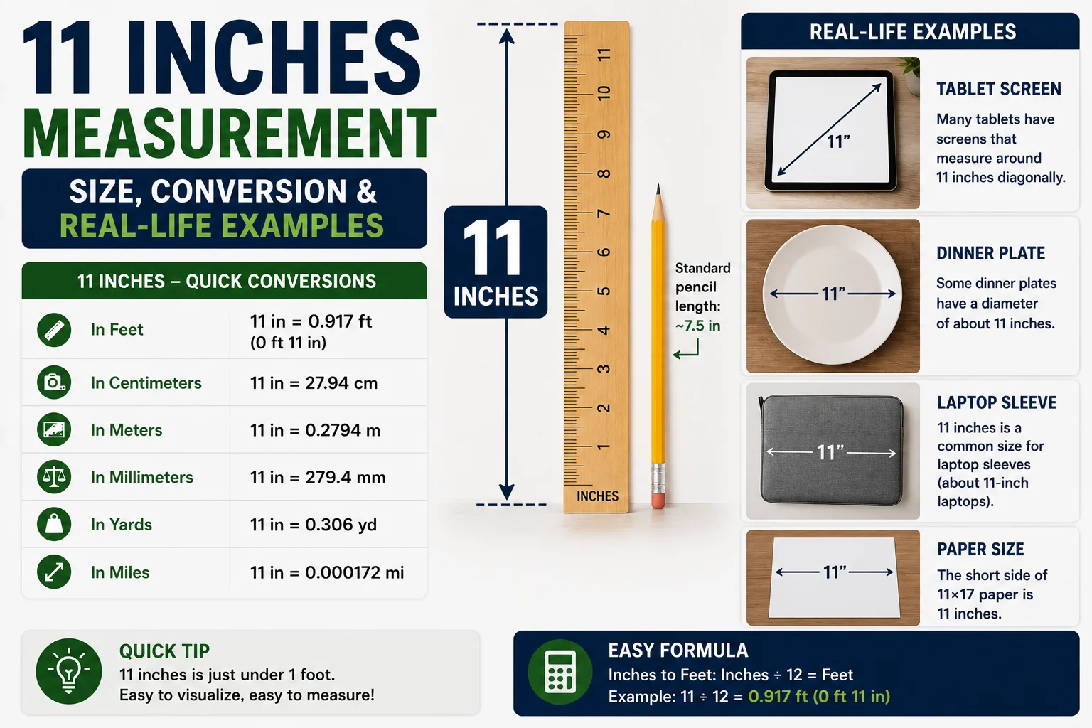 11 Inches Measurement