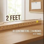 How Long Is 2 Feet