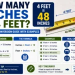 How Many Inches Is 4 Feet