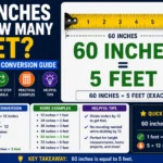 60 Inches Is How Many Feet