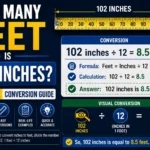 How Many Feet Is 102 Inches