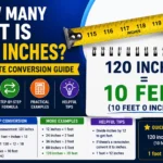 How Many Feet Is 120 Inches