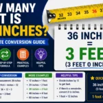 How Many Feet Is 36 Inches