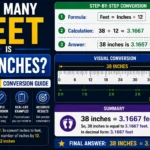 How Many Feet Is 38 Inches