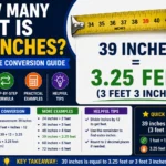 How Many Feet Is 39 Inches