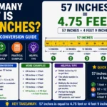 How Many Feet Is 57 Inches
