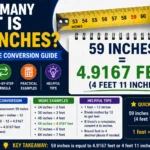 How Many Feet Is 59 Inches