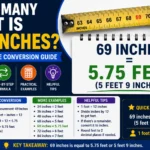 How Many Feet Is 69 Inches