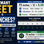 How Many Feet Is 73 Inches