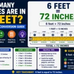 How Many Inches Are in 6 Feet