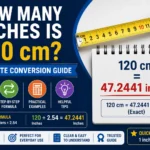How Many Inches Is 120 cm