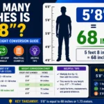 How Many Inches Is 5'8"