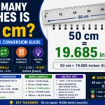 How Many Inches Is 50 cm