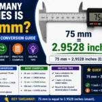 How Many Inches Is 75 mm