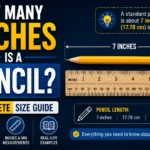 How Many Inches Is a Pencil