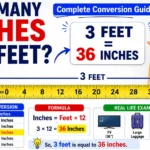 How Many Inches in 3 Feet