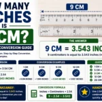 How Many Inches Is 9 cm