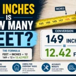149 Inches Is How Many Feet
