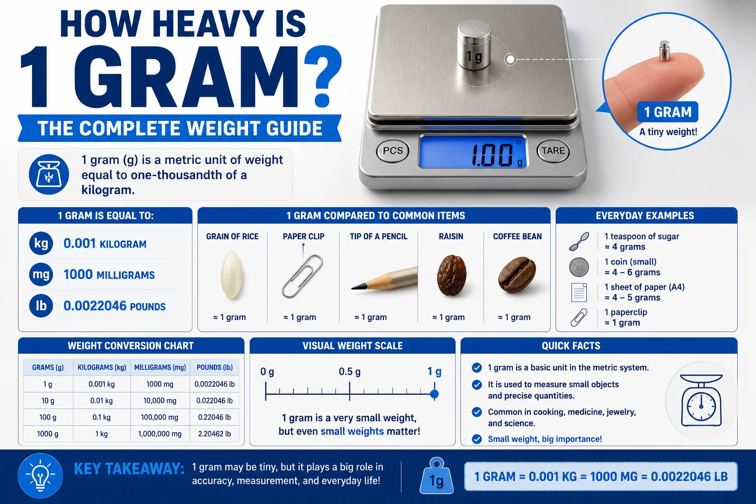 how heavy is 1 grams