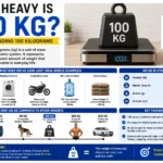 how heavy is 100 kg