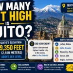 how many feet high is quito"