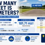 how many feet is 31 meters