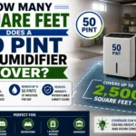 how many square feet does a 50 pint dehumidifier cover